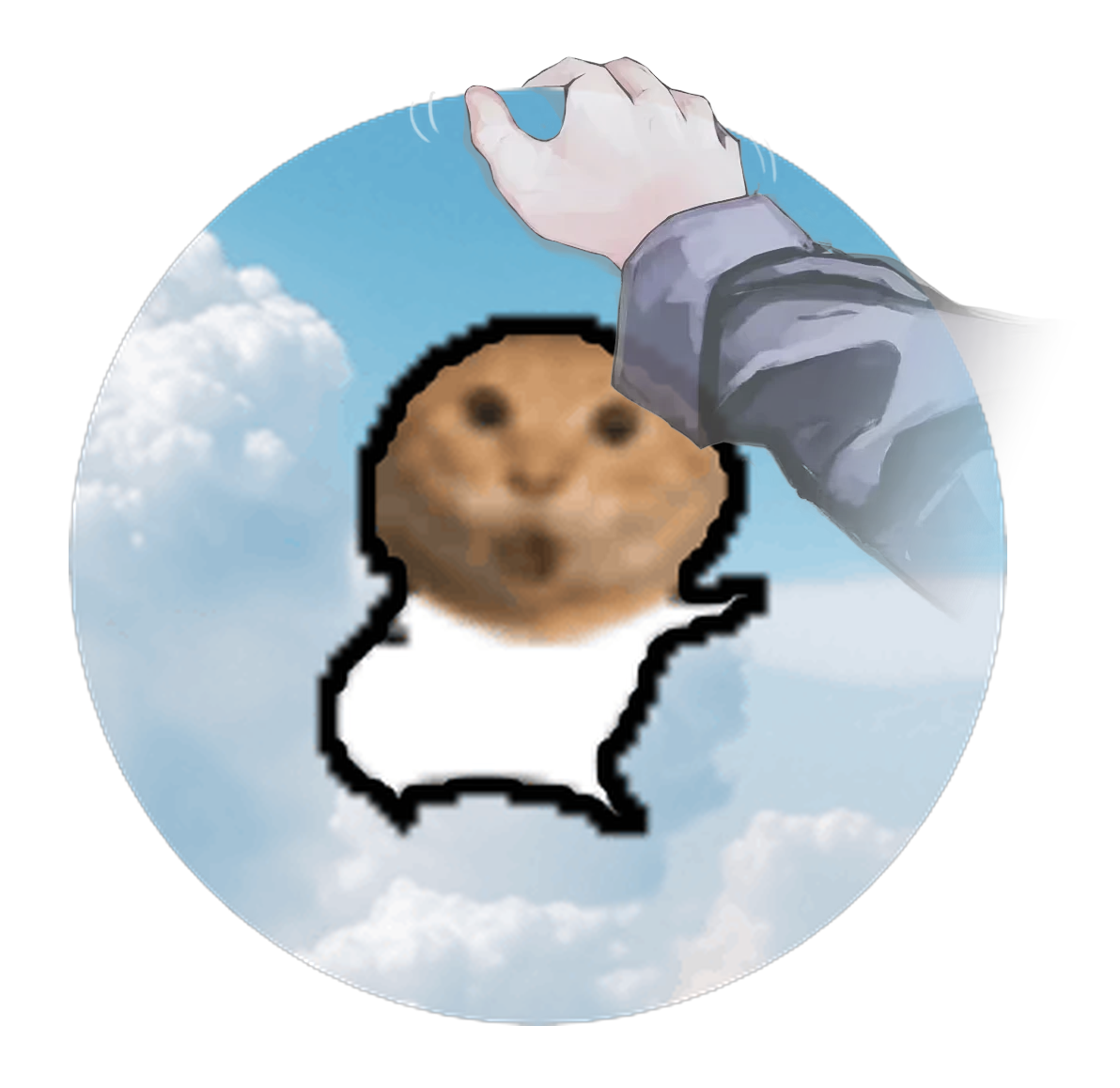 meme catch